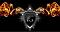mrtrungblack's Avatar