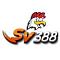 sv388global's Avatar