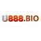 u8881523521022's Avatar