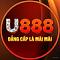 u8884com's Avatar