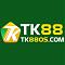 tk88os's Avatar