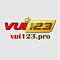 vui123pro's Avatar