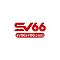 sv66sv66com's Avatar