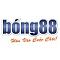 nhacaibong88vn's Avatar