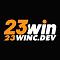 23wincdev's Avatar