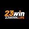 23winnlifevn's Avatar