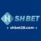 shbet28com's Avatar