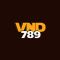 vnd789games's Avatar