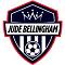 judebellinghaminfo25's Avatar