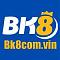 bk8comvin's Avatar