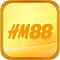 hm8868com's Avatar