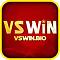 vswinbio's Avatar