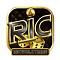 ricwincymru's Avatar