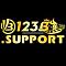 123bsupport's Avatar