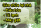 liemhuong84's Avatar